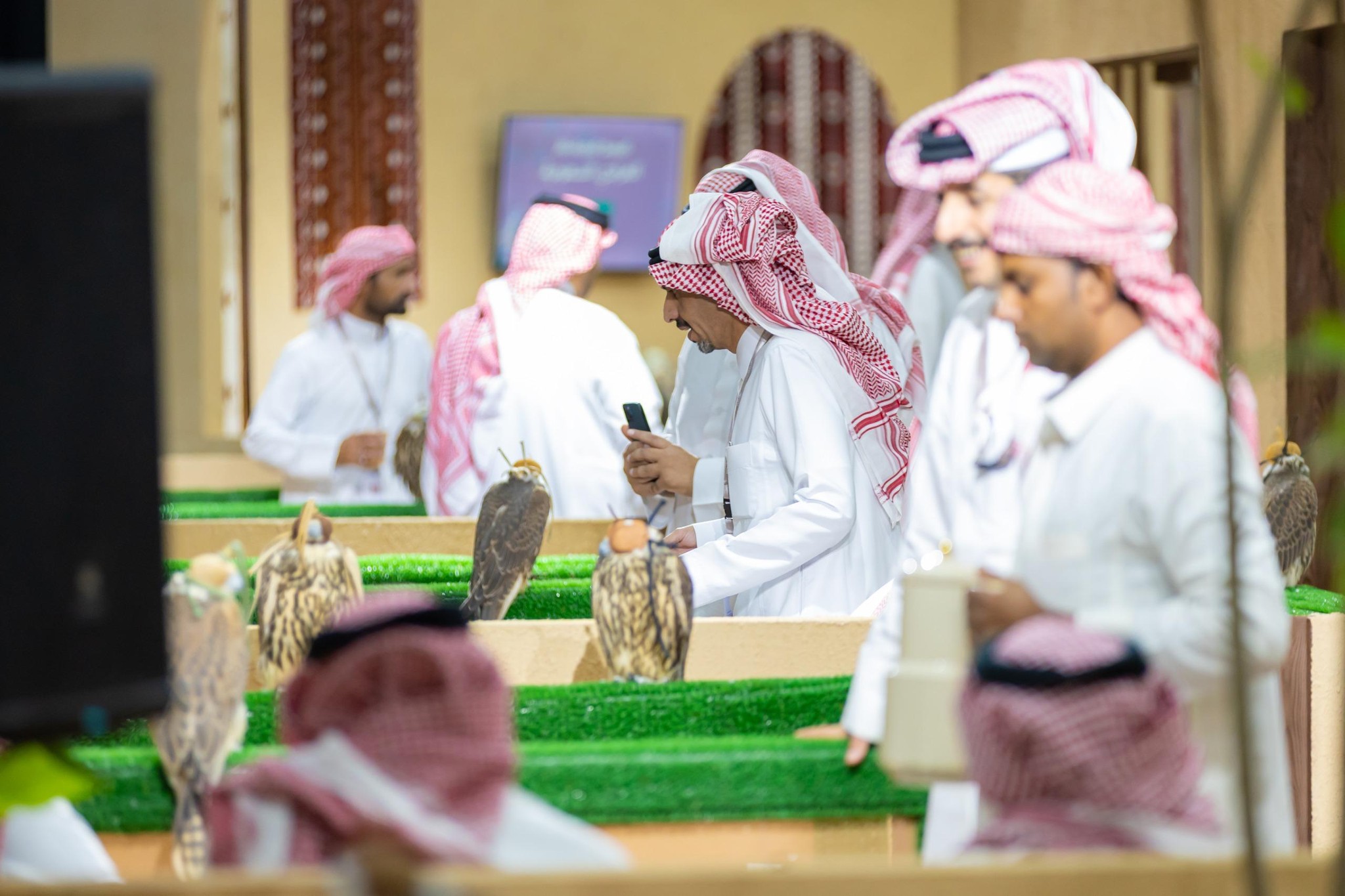 THÚ VUI XA XỈ: PHIÊN ĐẤU GIÁ CHIM ƯNG QUỐC TẾ KẾT THÚC TẠI Ả RẬP XÊ ÚT VỚI DOANH SỐ VƯỢT 3,46 TRIỆU ĐÔ